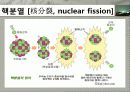핵핵분열 원리 및 핵분열에너지 14페이지