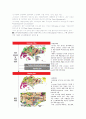 도시재개발국(URA)을 통한 싱가포르의 체계적 도시계획 및 관리 3페이지