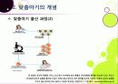 [맞춤아기]맞춤형 아기 출산, 무엇이 문제인가? - 맞춤형아기(Designer baby)를 둘러싼 논란의 배경과 주요 쟁점, 사례, 찬반의견 및 나의 견해 8페이지