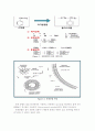 폴리스티렌의 제조실험 7페이지