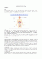 [간호학]내과-당뇨문헌고찰 1페이지