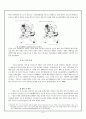 [세종시의 방향제언] 국토균형개발 달성을 위한 세종시의 나아갈 방향 제언 6페이지