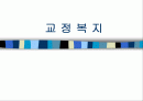 교정복지의 정의 발달사, 역사, 기능, 필요성, 주요제도, 프로그램 및 전망 1페이지