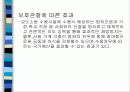 교정복지의 정의 발달사, 역사, 기능, 필요성, 주요제도, 프로그램 및 전망 21페이지