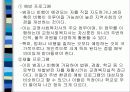 교정복지의 정의 발달사, 역사, 기능, 필요성, 주요제도, 프로그램 및 전망 33페이지