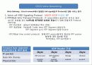 voice networking protocol 정리 9페이지