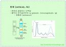 항체와 B 림프구 : 단클론 항체의 제조 4페이지
