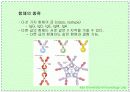 항체와 B 림프구 : 단클론 항체의 제조 9페이지