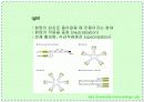 항체와 B 림프구 : 단클론 항체의 제조 11페이지