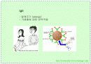 항체와 B 림프구 : 단클론 항체의 제조 13페이지