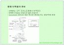 항체와 B 림프구 : 단클론 항체의 제조 16페이지