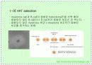 항체와 B 림프구 : 단클론 항체의 제조 40페이지