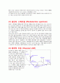 AAS(atomic absorption spectroscopy), XPS (X-ray Photoelectron Spectroscopy)의 원리와 구성 3페이지