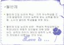 교육의기회균등과평등 파워포인트 14페이지