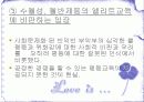 교육의기회균등과평등 파워포인트 16페이지