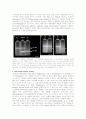 stable isotope proving 4페이지