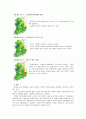 구제역 사태 원인, 경과분석과 효율적 대응방안 11페이지