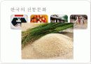 쌀에서 찾아본 한국의 전통 문화  3페이지