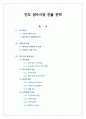 제주삼다수의 인도 생수시장 진출전략 1페이지