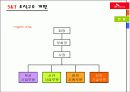 SKT의 조직구조 (조직설계론 - 조직구조 개편) 15페이지