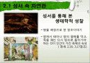 Ecology & Bible (원령공주) 6페이지