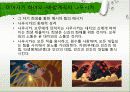 Ecology & Bible (원령공주) 28페이지