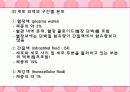 수액요법의 목적과 종류 4페이지