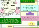 임해공업이 발달한 영남지방 PPT 21페이지