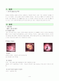 Rectalca' case study 1페이지