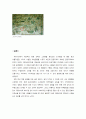 조선시대 정원 소쇄원(瀟灑園) 21페이지
