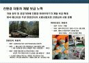 지속가능 경영 전략의 이해 & 기업의 사회적 책임 (CSR) 사례 분석 32페이지