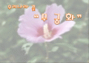 우리나라 꽃 무궁화  1페이지