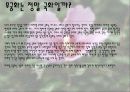 우리나라 꽃 무궁화  18페이지