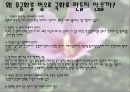 우리나라 꽃 무궁화  22페이지