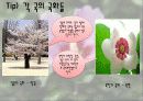 우리나라 꽃 무궁화  25페이지