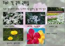 우리나라 꽃 무궁화  26페이지
