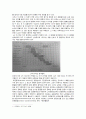 Preparation and standardization of 0.1N-HCl 0.1 N 염산 표준용액의 조제 및 표준화 13페이지