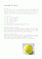 테니스의 역사, 라켓과 테니스코트 종류, 진행규칙, 테니스 기술 9페이지