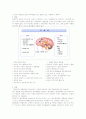 Biopolar disorder(양극성 장애) case study 정신과 실습 보고서 9페이지