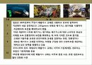 자동차 산업의 현황및 산업 경쟁력 강화 전략 19페이지