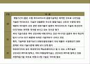 자동차 산업의 현황및 산업 경쟁력 강화 전략 24페이지