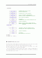 빈곤아동의 문제점 및 복지대책에 대하여 설명하시오 31페이지