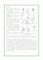 일반생물학/미생물학/효모의 관찰 6페이지