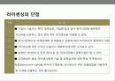 기업의 국제화 전략 이해 및 성공 & 실패 사례분석 17페이지