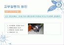 재혼가족 안에 나타난 고부갈등 가족치료 13페이지