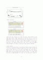 유니클로 재무상태분석을통한 투자보고서 5페이지