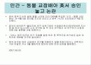 간호윤리에 대하여 7페이지