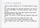 중국대중문화와 한류 31페이지