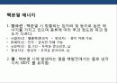 원자력발전의 국내 세계적 동향 문제점에 대한 이해 17페이지