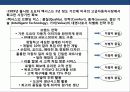 렉서스의 미국시장 성공 전략 한국시장 진출 전략 분석 9페이지